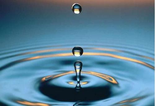 水分 水分