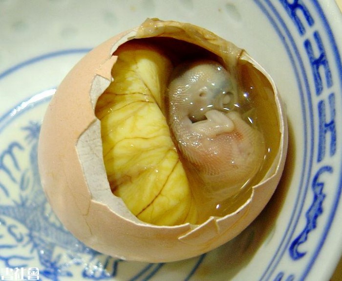 活珠子 活珠子