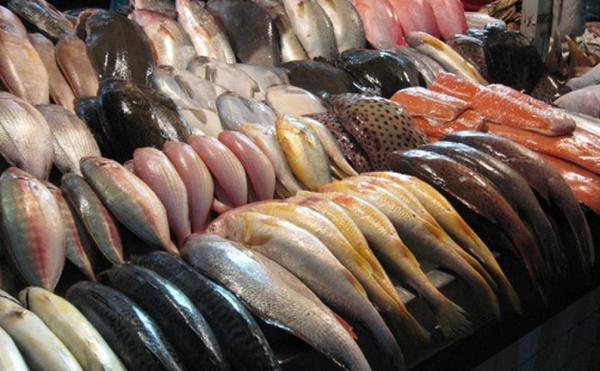 魚 魚