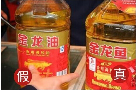 真假金龍魚 真假金龍魚