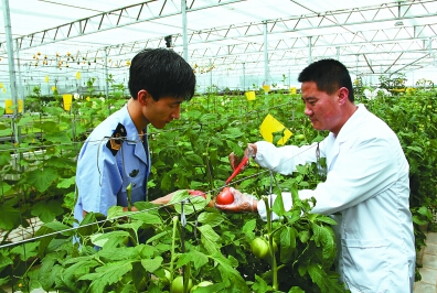 平涼食藥監所對蔬菜農藥殘留量進行測定 平涼食藥監所對蔬菜農藥殘留量進行測定