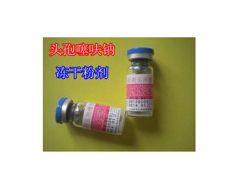 頭孢類凍干粉針 頭孢類凍干粉針