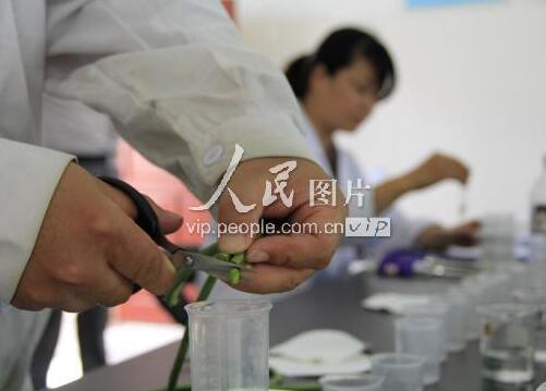 農藥殘留 農藥殘留