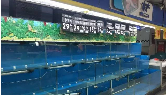 傳超市停售淡水活魚 北京食藥監:企業自主行為 傳超市停售淡水活魚 北京食藥監:企業自主行為