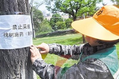 農藥殘留 農藥殘留