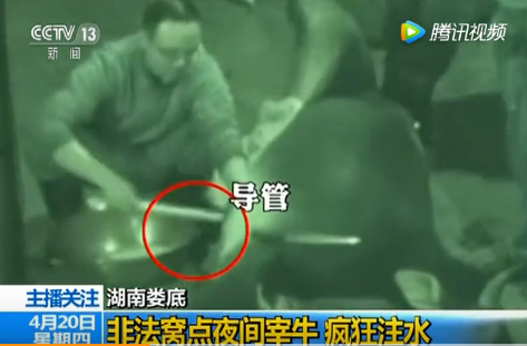 湖南婁底爆注水牛肉 湖南婁底爆注水牛肉